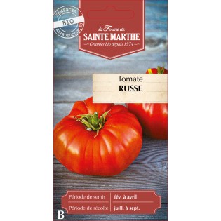 TOMATE RUSSE BIO
