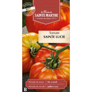 TOMATE SAINTE LUCIE BIO