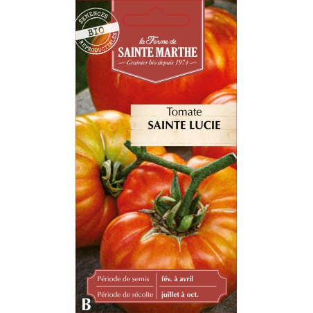 TOMATE SAINTE LUCIE BIO