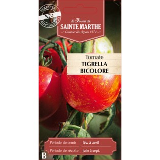 TOMATE TIGRELLA BICOLORE BIO