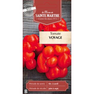 TOMATE VOYAGE BIO
