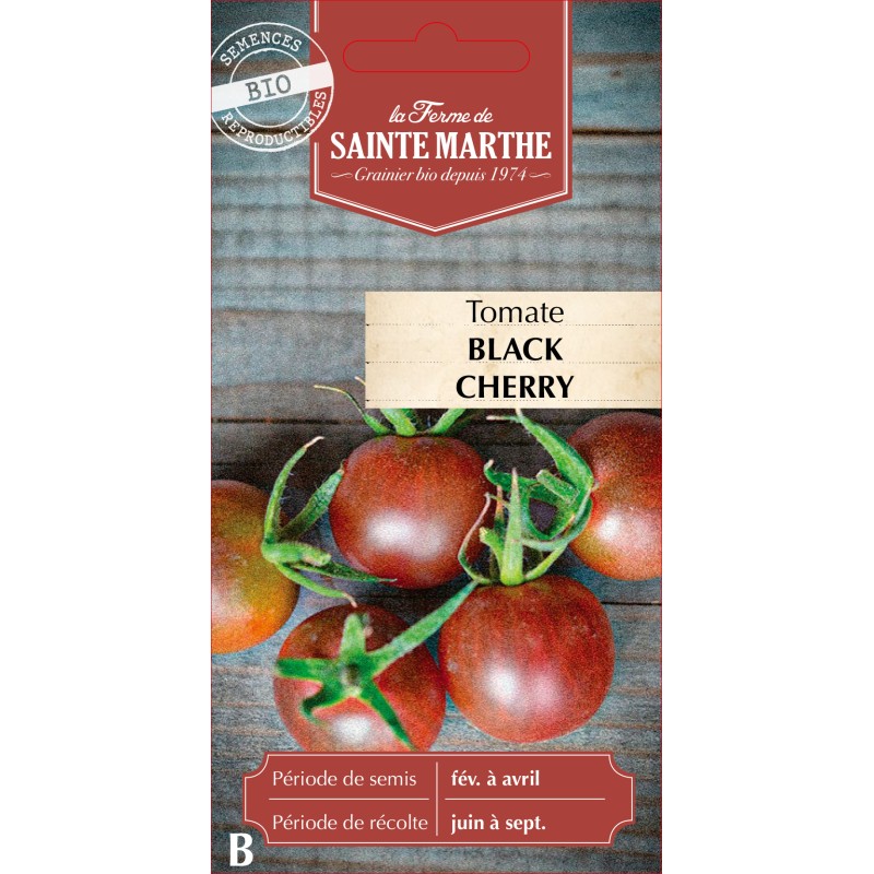 TOMATE BLACK CHERRY BIO