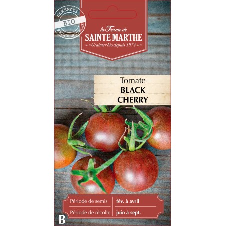 TOMATE BLACK CHERRY BIO