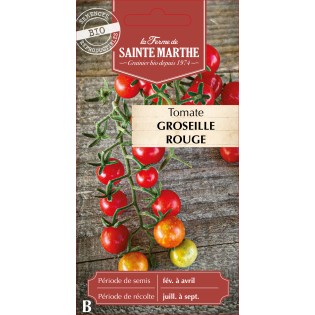 TOMATE GROSEILLE ROUGE BIO