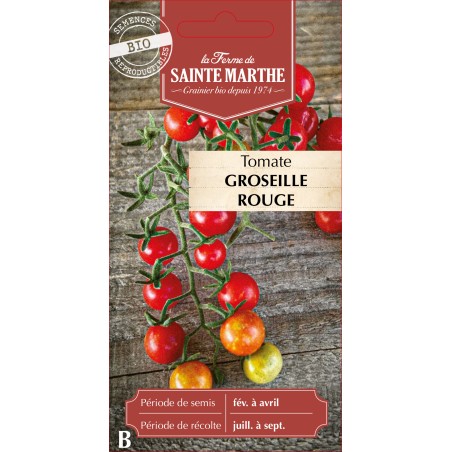 TOMATE GROSEILLE ROUGE BIO