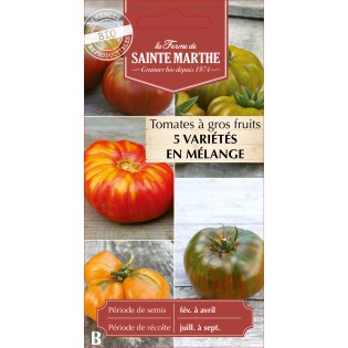 TOMATE A GROS FRUIT MELANGE BIO