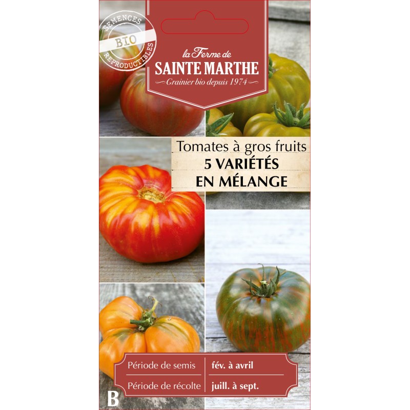 TOMATE A GROS FRUIT MELANGE BIO