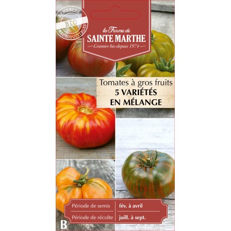TOMATE A GROS FRUIT MELANGE BIO
