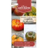 TOMATE A GROS FRUIT MELANGE BIO