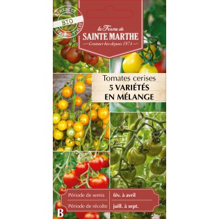 TOMATE CERISE MELANGE BIO
