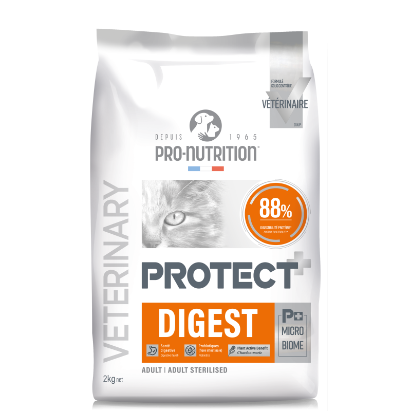 PROTECT CHAT DIGEST