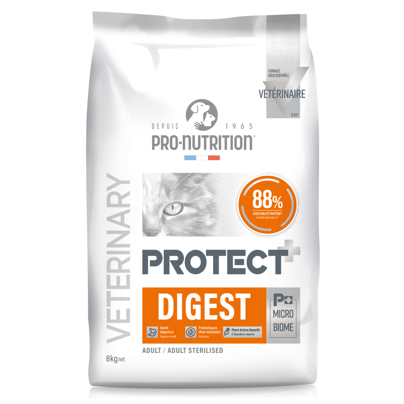 PROTECT CHAT DIGEST