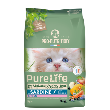 PURE LIFE CHAT KITTEN