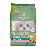 PURE LIFE CHAT KITTEN