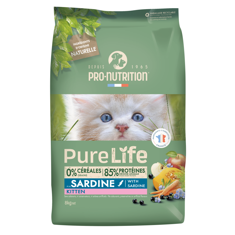 PURE LIFE CHAT KITTEN