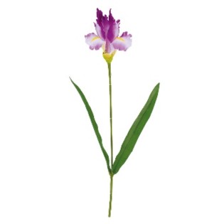 IRIS  65CM LAVANDE