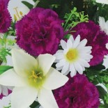JARDINIERE H40X53
