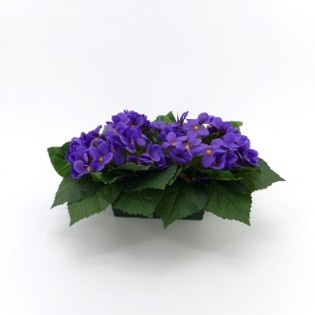 JARDINIERE 18X30CM VIOLETTE