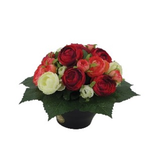 COUPE H25 DM25 COULEURS MELANGEES