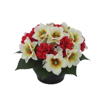 COUPE H24 DM28 COULEURS MELANGEES