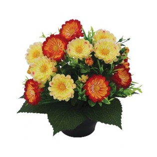 COUPE H26 DM28 COULEURS MELANGEES