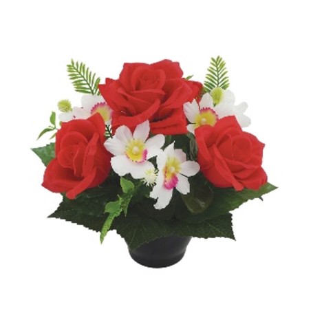 COUPE H27DM29CM