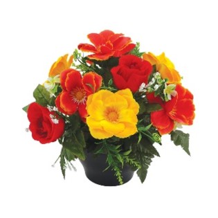 COUPE H26DM27CM COULEURS MELANGEES