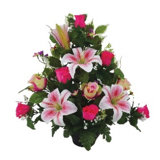 COUPE H51X48  ROSE CREME