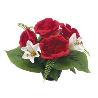 COUPE H25 DM28 COULEURS MELANGEES