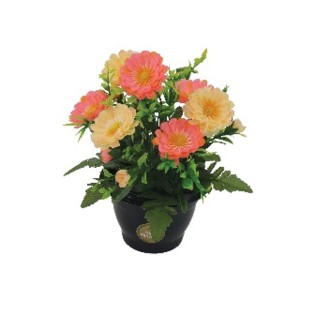 COUPE H25 DM23 COULEURS MELANGEES