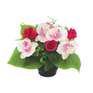 COUPE H26DM28CM COULEURS MELANGEES