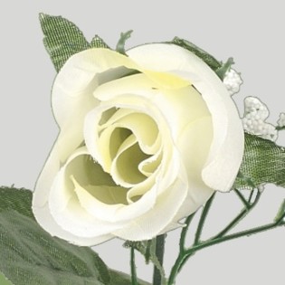 COUPE  H48 L46 COUPE  H48 L46