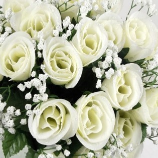 COUPE H33L30CM COUPE H33L30CM