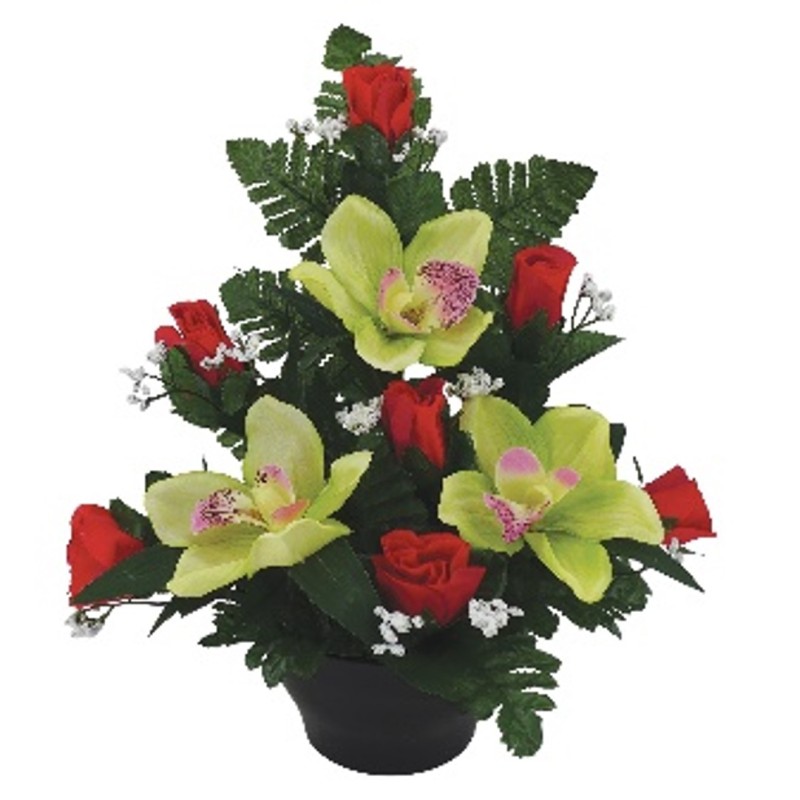 COUPE H33L30CM