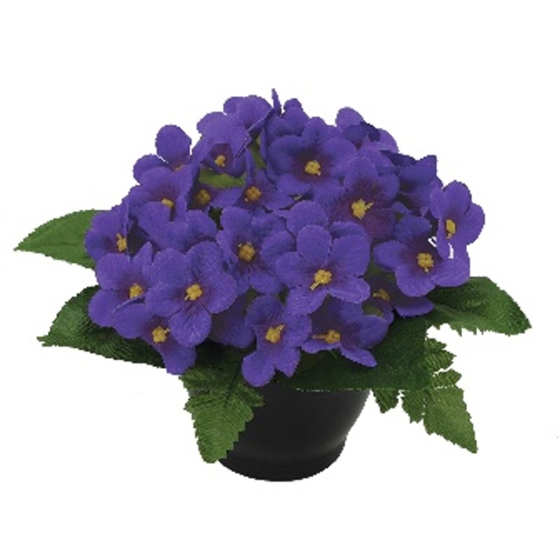 COUPE  H18 DM24CM COULEURS MELANGEES