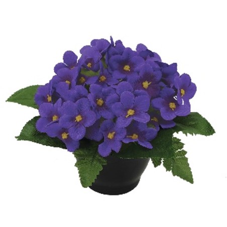 COUPE  H18 DM24CM COULEURS MELANGEES
