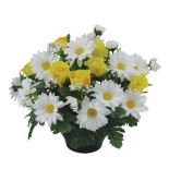 COUPE ROSE MARGUERITE  H27 DM35CM