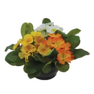 COUPE FLEURISTE PRIMEVERE H18 DM30CM COULEURS MELANGEES