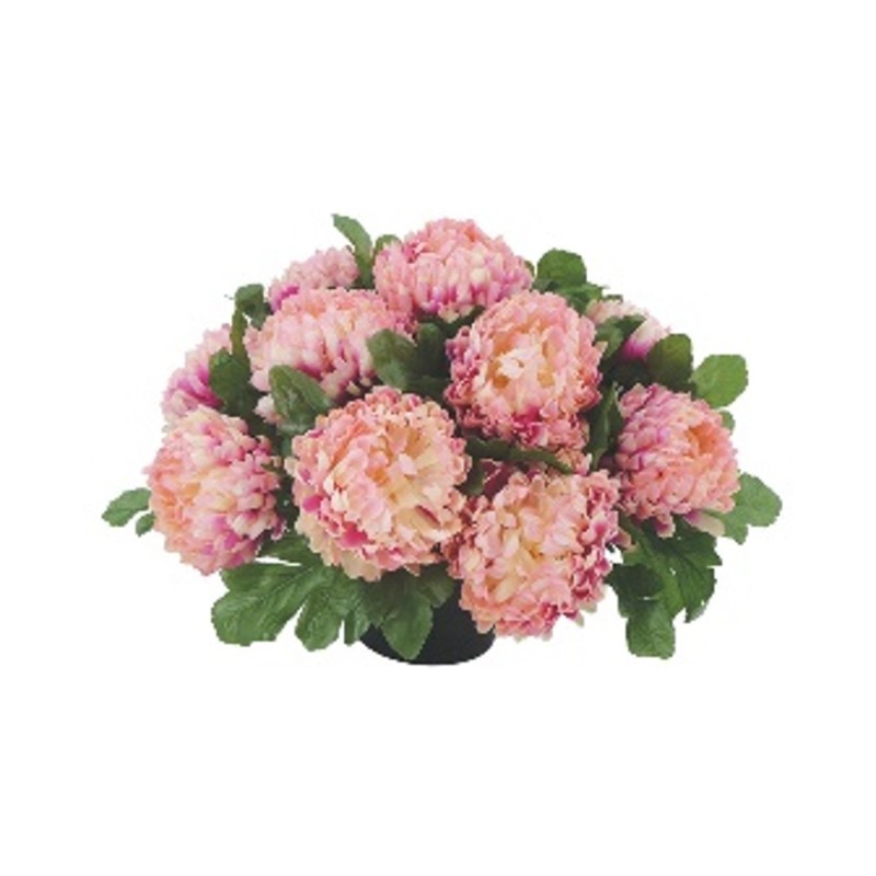 COUPE CHRYSANTHEME PM 14 TETE