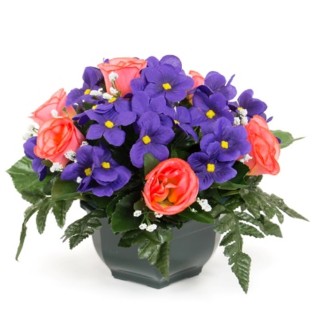 COUPE VIOLETTE ET ROSE DM27