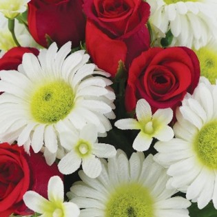 BOUQUET BULLE H34DM33CM