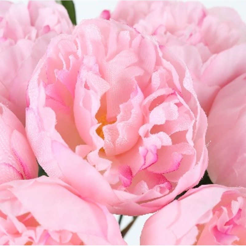 POT TERRE COULEUR PIVOINE  H28DM27CM