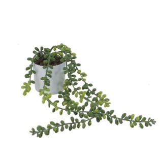 CHUTE SENECIO POT BLANC  H31 DM7CM VERT