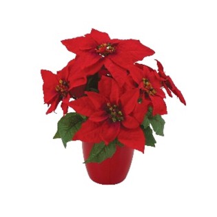POINSETTIAS ROUGE POT PLASTIQUE H33CM DM34 ROUGE