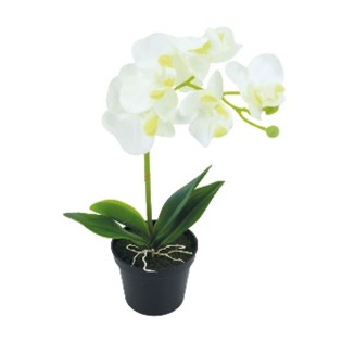 POT ORCHIDEE 1 BRANCHE 26CM BLANC