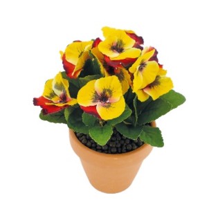 POT DE PENSEES PM H27CM X10 2O 2B 2F2JV 2J