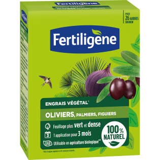 Fertiligène Engrais oliviers, palmiers, figuiers 650g