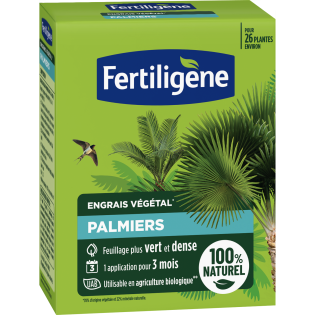 Fertiligène Engrais palmiers 650g