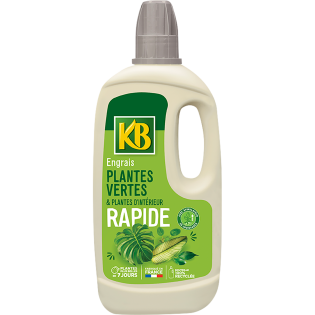Engrais rapide plantes vertes et plantes d'intérieur  1L