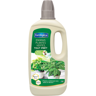 Engrais plantes vertes tout pret 1L